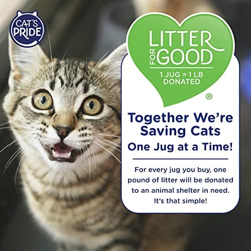 Cat's Pride Premium Lightweight Clumping Litter: Pure & Fresh - Up to 10 Days of Powerful Odor Control - Multi-Cat, Scented, 10 Pounds - Image 8