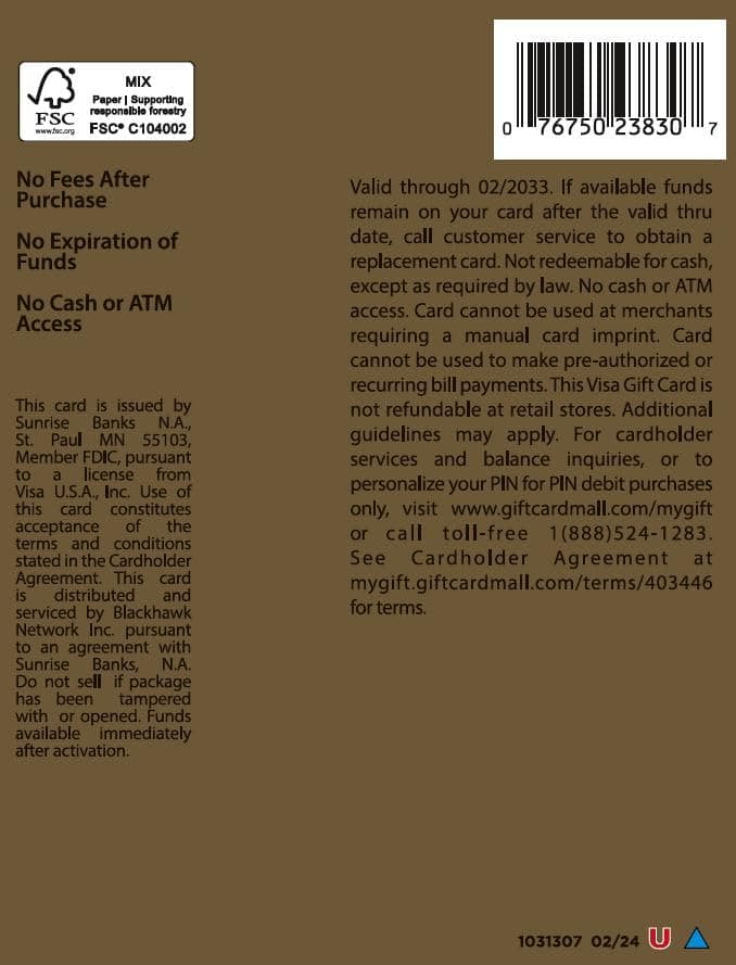 Visa $100 Gift Card (plus $5.95 Purchase Fee) - Image 2