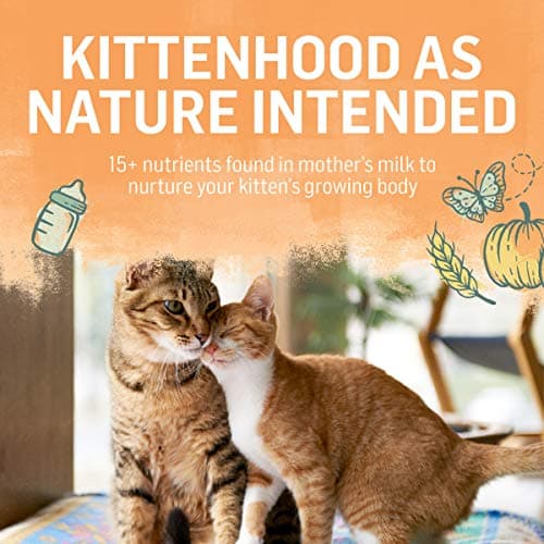 Purina Beyond High Protein, Natural Kitten Food, Kitten Chicken & Oatmeal Recipe - 3 lb. Bag - Image 6
