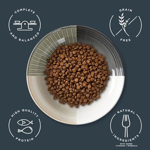 Reveal Natural Dry Kitten Food, High Protein, Grain Free with Added Vitamins & Minerals and DHA, Complete & Balanced Nutrition for Kittens, Chicken Recipe (2.5 Pound Bag) - Image 2