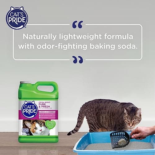 Cat's Pride Premium Lightweight Clumping Litter: Pure & Fresh - Up to 10 Days of Powerful Odor Control - Multi-Cat, Scented, 10 Pounds - Image 7