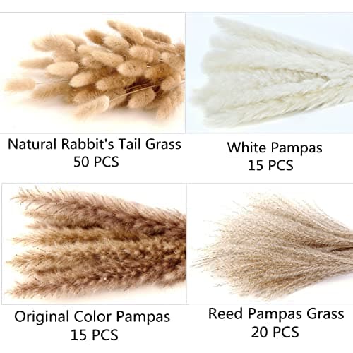 Dried Pampas Grass Decor, 100 Stems Pampas Grass Contains Bunny Tails Dried Flowers, Reed Grass Bouquet for Wedding Boho Flowers Home Table Decor, Rustic Farmhouse Party (17", White and Brown) - Image 4