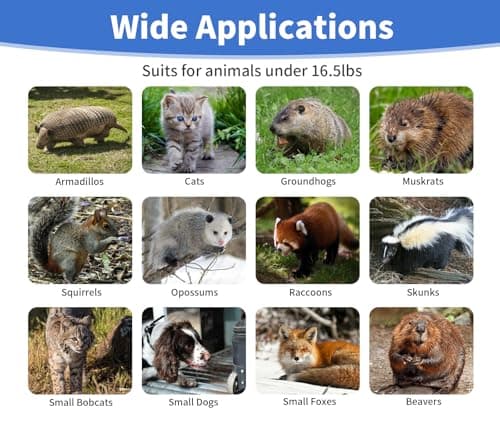 32” Humane Animal Trap, Live Animal Trap Cage for Stray Cats, Raccoons, Squirrels, Rabbits, Moles, Groundhogs, Armadillos up to 16.5 lbs, Galvanized Rustproof Live Animal Cage Trap - Image 7