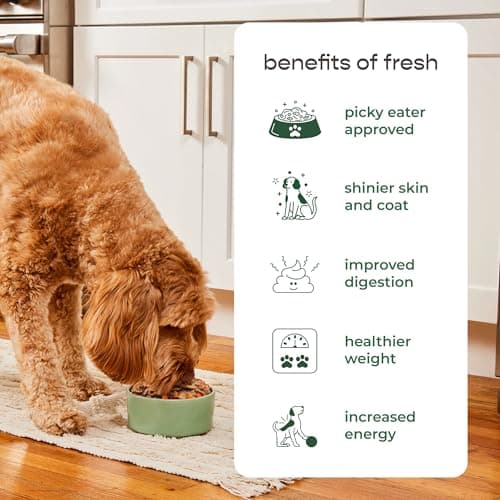 Freshpet Dog Food, Multi-Protein Complete Meal, Chicken, Beef, Egg and Salmon Recipe, 3Lb - Image 6