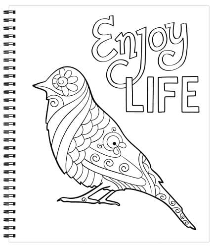 Large Print Easy Color & Frame - Calm (Stress Free Coloring Book) - Image 4
