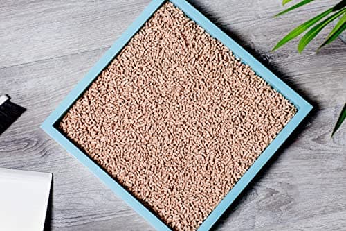 KOCHO Hinoki Wood Cat Litter, Upcycled, Ultra Lightweight, Natural Aroma of Hinoki Japanese Cypress, Gentle Clumping, Dust-Free - Image 5