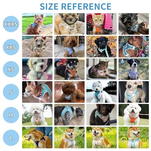 AIITLE Tiny Dog Harness - Lightweight Mesh Step-in Vest for Puppy, Reflective & Escape-Proof Design with High-Stick Magic Tape - Outdoor Use for Chihuahua, Maltese, Shih Tzu(Turquoise-Pink, XXXS) - Image 4