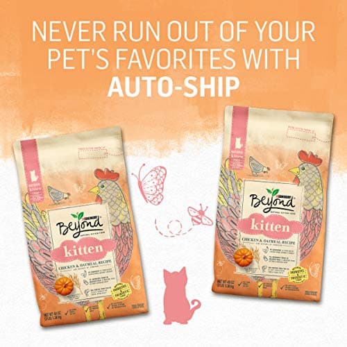 Purina Beyond High Protein, Natural Kitten Food, Kitten Chicken & Oatmeal Recipe - 3 lb. Bag - Image 10