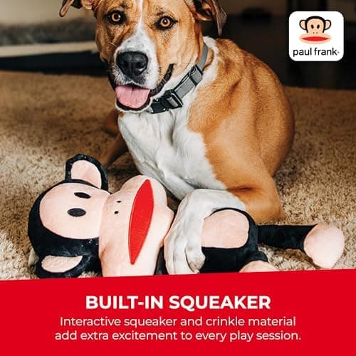Amazon.com : Multipet Paul Frank's Julius The Monkey Dog Plush Toy - Squeaky Toy for All Dogs - Extra Soft Plush - Stuffed Animal for Cuddling & Playing (10") : Pet Supplies - Image 8