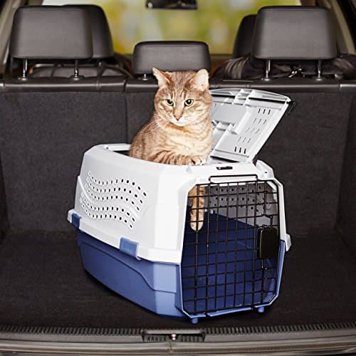 Amazon Basics 2-Door Top-Load Hard-Sided Dogs, Cats Pet Travel Carrier, Gray & Blue, 22.8"L x 15.0"W x 13.0"H - Image 9
