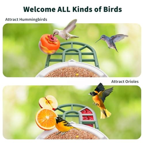HARYMOR Bird Feeder with Camera with AI Identify Birds Species Solar Panel, Smart Bird House with Cam, 2K Live View, Instant Arrival Alerts - Image 4