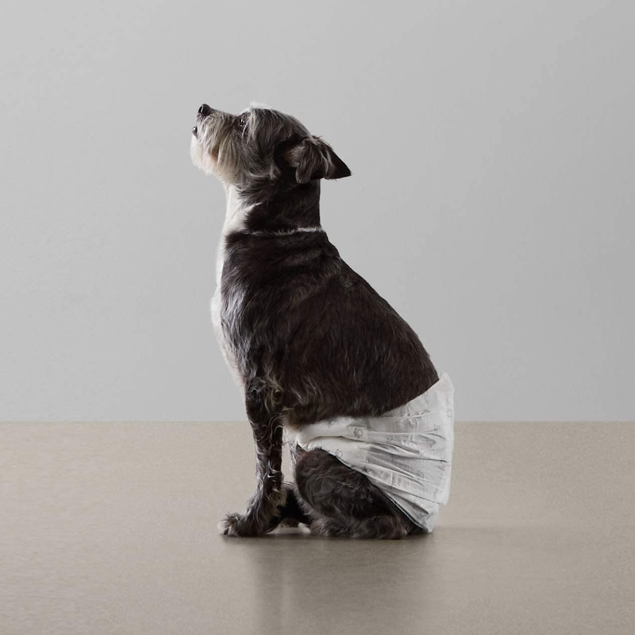 Amazon Basics Absorbent, Leakproof Male Dog Wrap Disposable Diapers, Small, Pack of 50, White Small (Pack of 50) Pack of 50 - Image 7