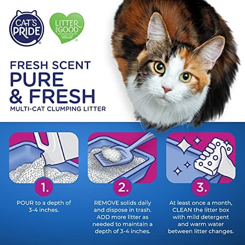Cat's Pride Premium Lightweight Clumping Litter: Pure & Fresh - Up to 10 Days of Powerful Odor Control - Multi-Cat, Scented, 10 Pounds - Image 6
