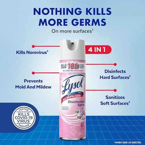 Lysol Disinfectant Spray, Sanitizing And Antibacterial Spray, For Disinfecting And Deodorizing, Early Morning Breeze, 19 Fl Oz (Pack Of 2), Packaging May Vary - Image 2