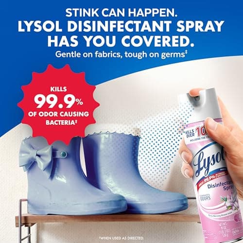 Lysol Disinfectant Spray, Sanitizing And Antibacterial Spray, For Disinfecting And Deodorizing, Early Morning Breeze, 19 Fl Oz (Pack Of 2), Packaging May Vary - Image 5