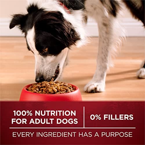 Purina ONE True Instinct With A Blend Of Real Turkey and Venison Dry Dog Food - 7.4 lb. Bag - Image 9
