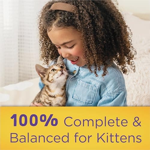 Kitten Chow Dry Cat Food by Purina - Image 9