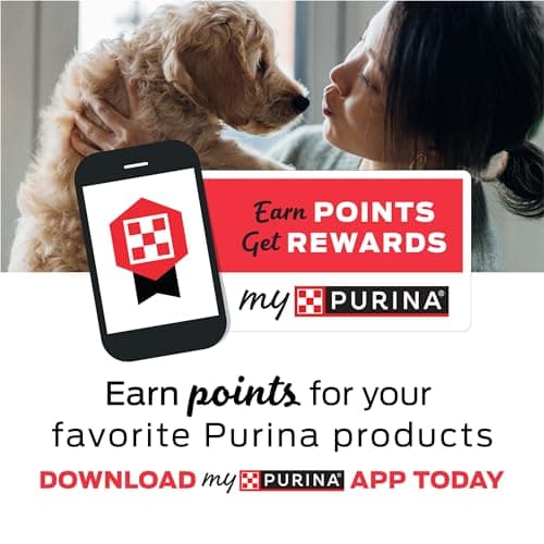 Purina Beyond High Protein, Natural Kitten Food, Kitten Chicken & Oatmeal Recipe - 3 lb. Bag - Image 2