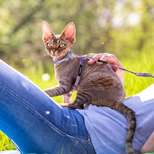 TIESOME Cat Harness and Leash Set, Adjustable Gradient Kitten Harness Escape Proof Harness with Leash for Kitty Outdoor Walking (Gradient Purple) - Image 6