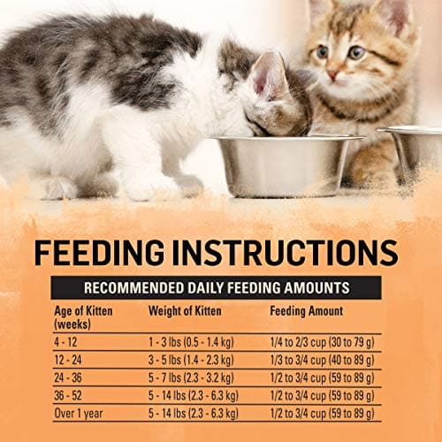 Purina Beyond High Protein, Natural Kitten Food, Kitten Chicken & Oatmeal Recipe - 3 lb. Bag - Image 8