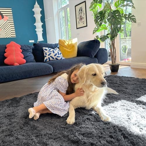 OLANLY Area Rugs for Living Room Bedroom, Machine Washable 4x5.9 ft Soft Fluffy Shaggy Bedside Rug, Indoor Floor Carpet for Kids Girls and Boys, Dorms, Nursery Rooms, Home Decor Aesthetic, Grey - Image 5