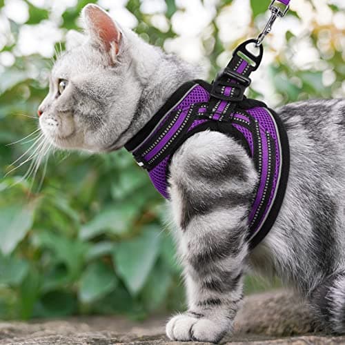 rabbitgoo Cat Harness and Leash Set for Walking Escape Proof, Adjustable Soft Kittens Vest with Reflective Strip for Cats, Comfortable Outdoor Vest, Purple, S - Image 8