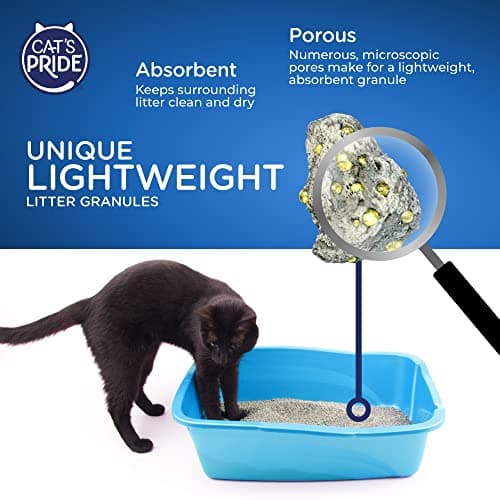 Cat's Pride Premium Lightweight Clumping Litter: Pure & Fresh - Up to 10 Days of Powerful Odor Control - Multi-Cat, Scented, 10 Pounds - Image 5