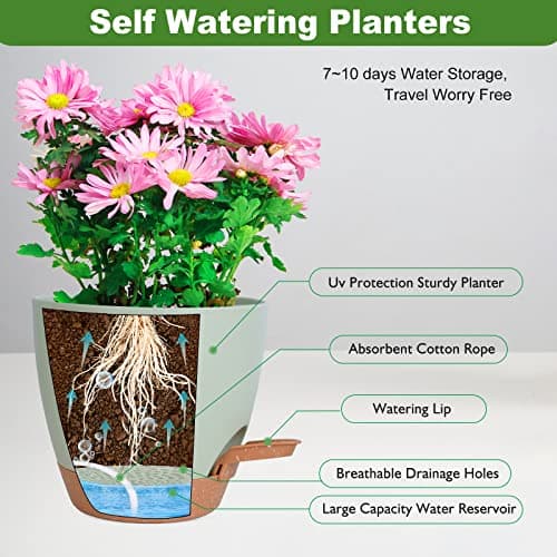 Vanslogreen Plant Pots Indoor 7/6.5/6/5.5/5 Inch Self Watering Planters for Indoor Plants with Drainage Hole, Plastic Flower Pots for Succulents, African Violet (Green) - Image 3