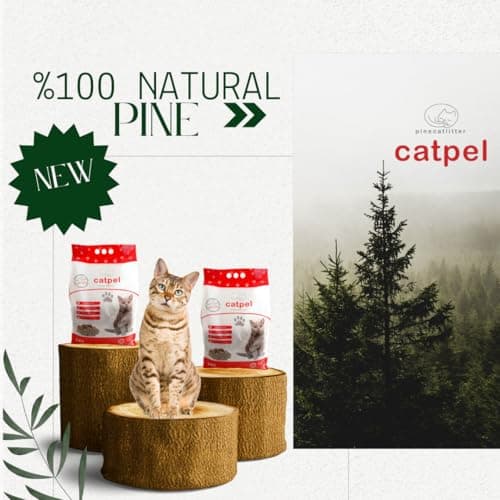 Premium Pine Pellets Cat Litter, 100% All Natural Pellet Kitty Litter, Non Clumping Non Tracking Low Dust Litter Meant for Use with Sifting Litter Box (11 lb) - Image 3