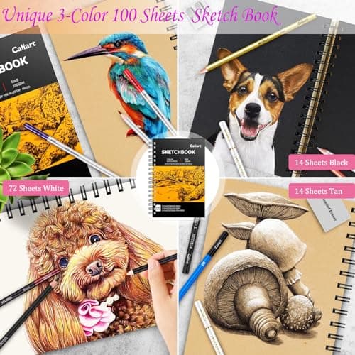 Caliart 176PCS Art Supplies Sketching Kit with 100 Sheets 3-Color Sketch Book, Graphite Colored Charcoal Watercolor & Metallic Pencils, School Supplies Gifts for Artists Adults Teens Girls Boys Kids - Image 2
