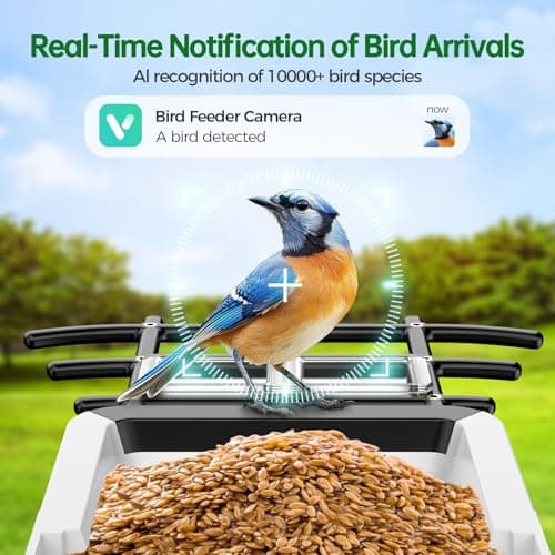Bird Feeder with Camera - 2K HD Live View, AI Identification & Instant Alerts, Weatherproof for Outdoors, 2.4GHz WiFi Solar Powered Smart Feeder for Bird Lovers - Image 2