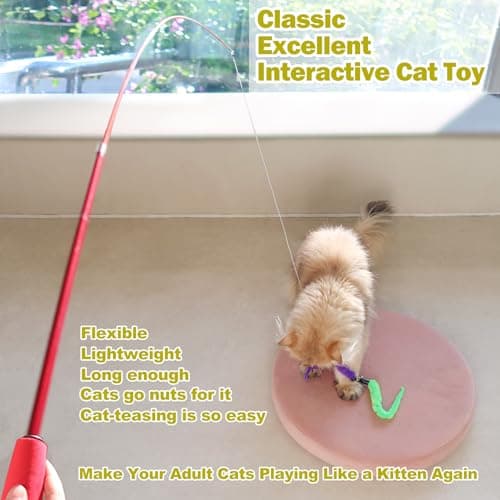 MeoHui Interactive Cat Toys - Retractable Wand Toy and Feather Toys Refills for Indoor Cats to Chase and Exercise - Image 2