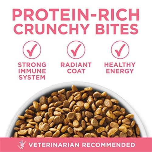 Purina ONE High Protein, Natural Dry Kitten Food, +Plus Healthy Kitten Formula - 7 lb. Bag - Image 2