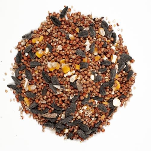 Wagner's 53002 Farmer's Delight Wild Bird Food with Cherry Flavor, 10-Pound Bag - Image 3