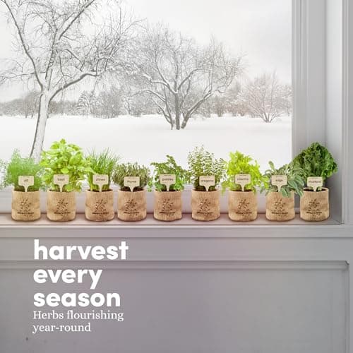 Planters' Choice 9 Herb Indoor Window Garden Kit - House Plants Seeds - Best Unique Gift Ideas for Women, Mom, Friend, Her, Birthday, Housewarming, Mother - New Home Kitchen Gifts - Live Plant Starter - Image 8
