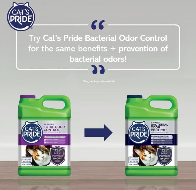 Cat's Pride Max Power: Total Odor Control - Up to 10 Days of Powerful Odor Control - Strong Clumping - 99% Dust Free - Multi-Cat Litter, Scented, 15 Pounds 15 lbs Total Odor Control Scented - Image 2