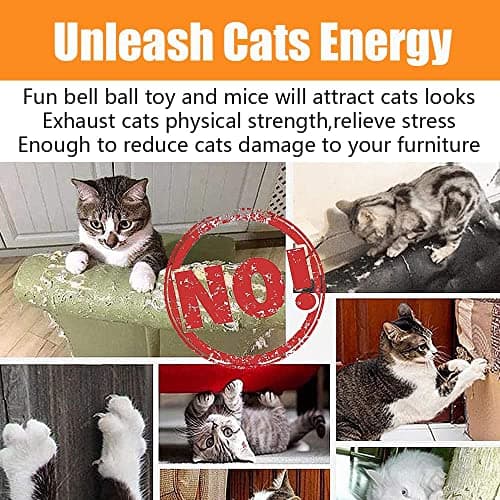 21 Pcs Cat Toys for Indoor Cats Collapsible Cat Tunnel Interactive Feather Teaser Wand Ball Toy for Kitten Cats - Image 7