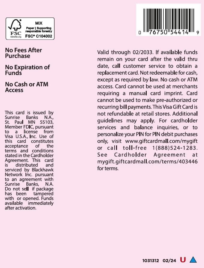 Visa $100 Gift Card (plus $5.95 Purchase Fee) - Image 2