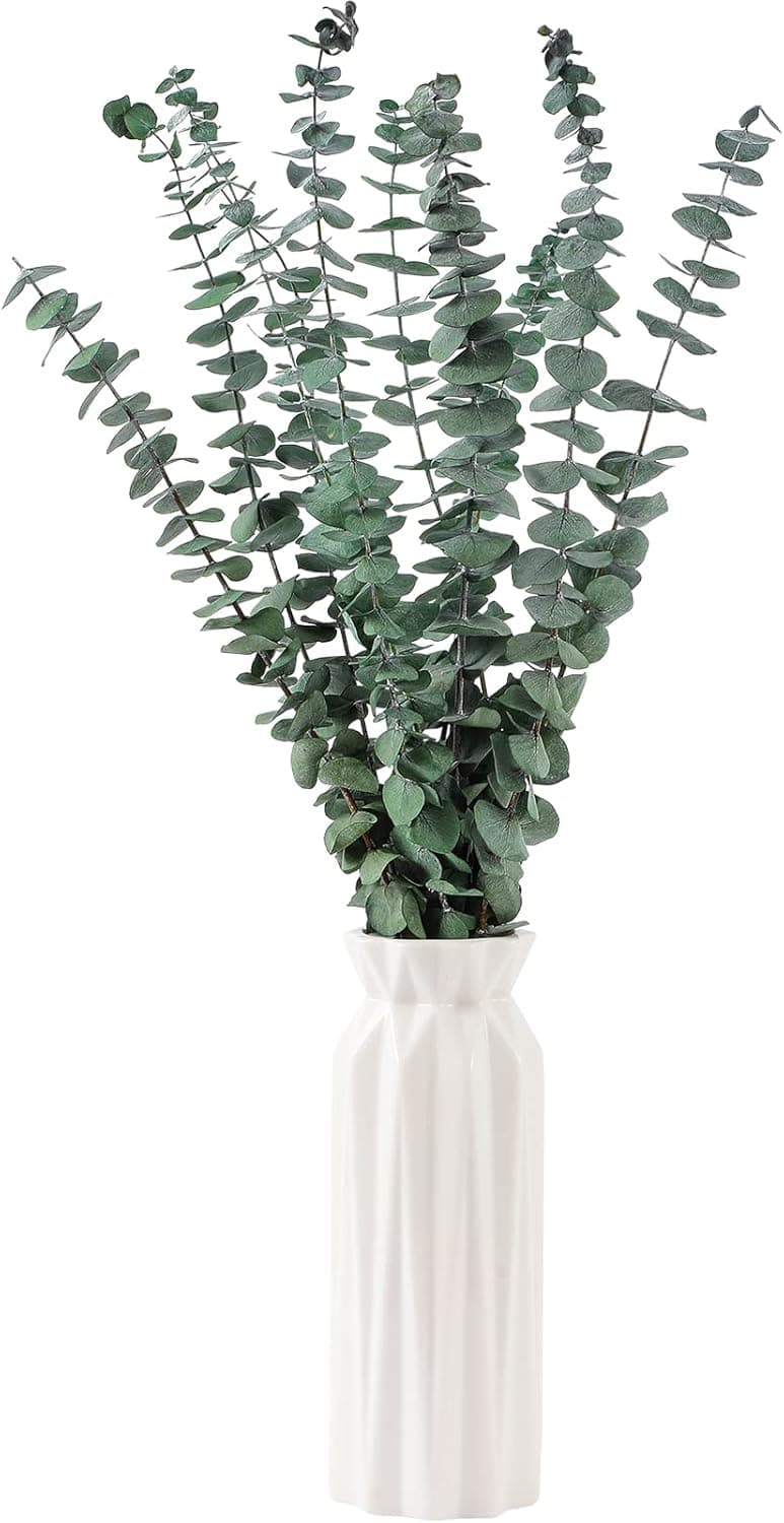 10 Pcs Dried Eucalyptus Stems 17" Real Eucalyptus for Shower Hanging 100% Made from Fresh Leaves, Wedding, Home, Farmhouse, DIY Spring Decor Bathroom Decor Home Decor - Image 3