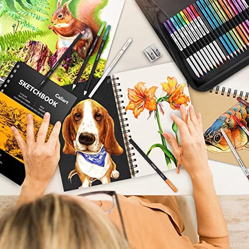 Caliart 176PCS Art Supplies Sketching Kit with 100 Sheets 3-Color Sketch Book, Graphite Colored Charcoal Watercolor & Metallic Pencils, School Supplies Gifts for Artists Adults Teens Girls Boys Kids - Image 7