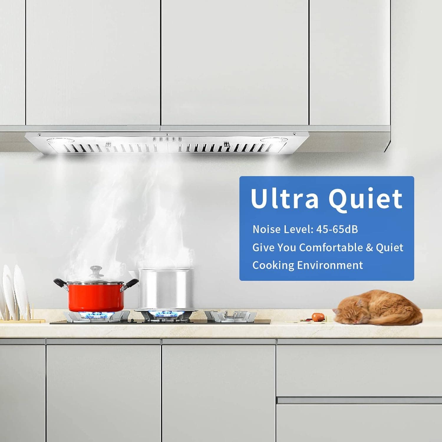 Range Hood Insert 30 inch,Stainless Steel Kitchen Vent Hood 600CFM,Built-in Kitchen Stove Hood w/Front Button Controls and Front LED Lights,Baffle Filters,Ducted/ductless Convertible Duct - Image 6