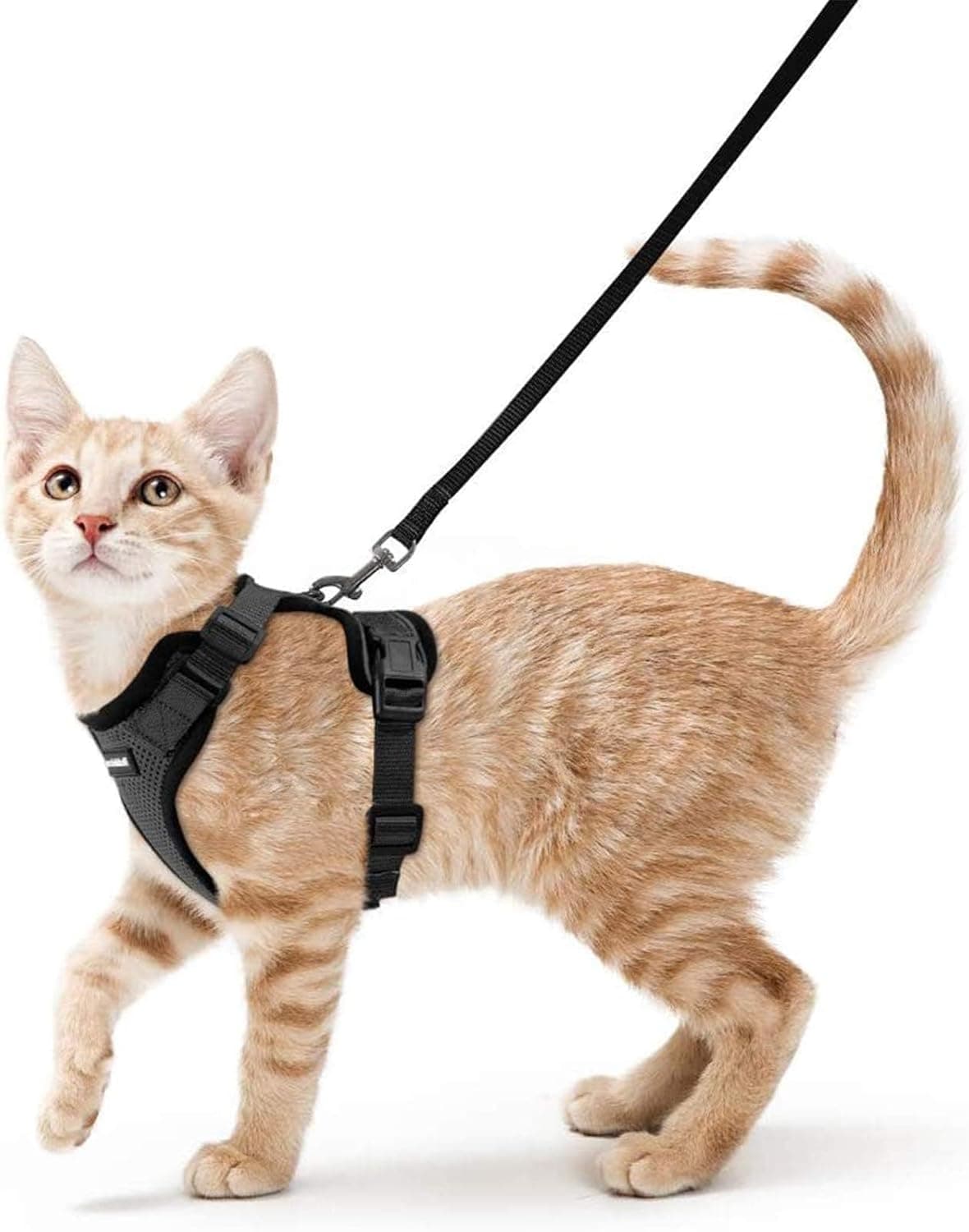 rabbitgoo Cat Harness and Leash for Walking, Escape Proof Soft Adjustable Vest Harnesses for Cats, Easy Control Breathable Reflective Strips Jacket, Black, XS XS Black - Image 2