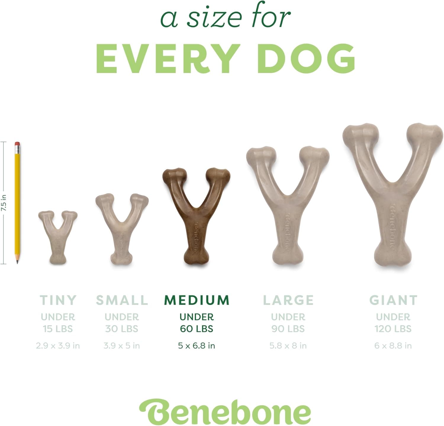 Benebone Wishbone Durable Dog Chew Toy for Aggressive Chewers, Real Bacon, Made in USA, Medium REAL: Bacon Medium - Image 5