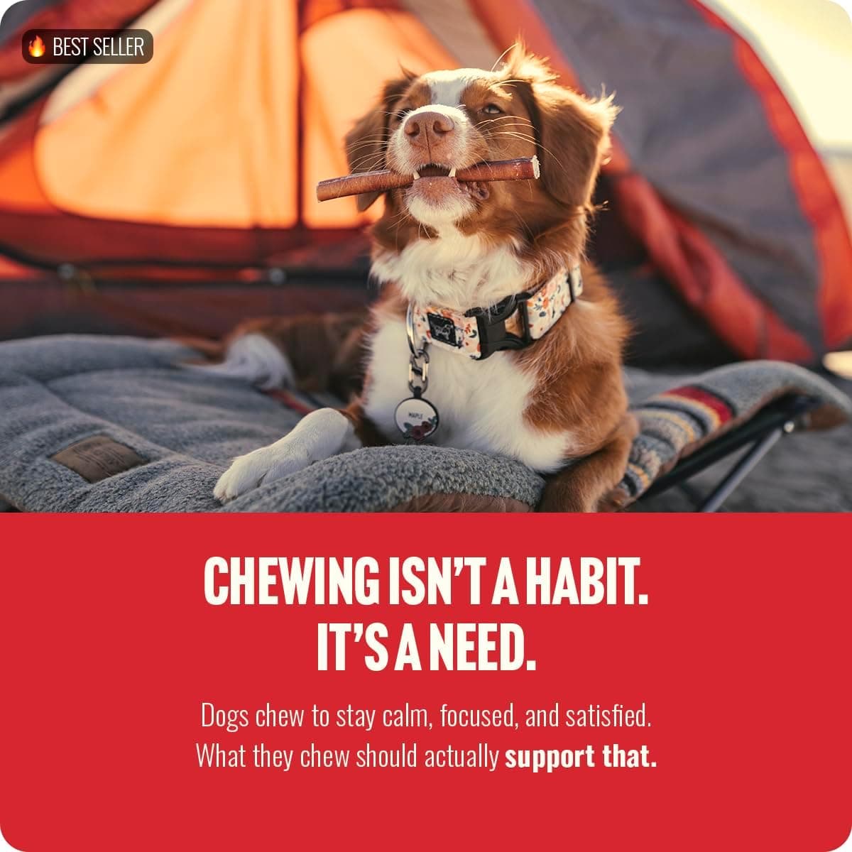 Natural Farm Odor-Free Bully Sticks (6 Inch, 25 count),1.3 lb. Bag, Fully Digestible 100% Beef Pizzle Chews,Grass-Fed, Non-GMO,Grain-Free, Natural Long-Lasting Chews for Small & Large Dogs. Pack of 25 6-inch 25 Count (Pack of 1) - Image 4