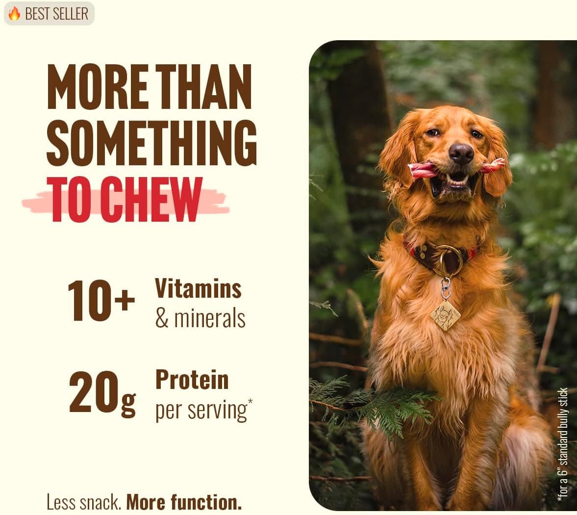 Natural Farm Odor-Free Bully Sticks (6 Inch, 25 count),1.3 lb. Bag, Fully Digestible 100% Beef Pizzle Chews,Grass-Fed, Non-GMO,Grain-Free, Natural Long-Lasting Chews for Small & Large Dogs. Pack of 25 6-inch 25 Count (Pack of 1) - Image 2