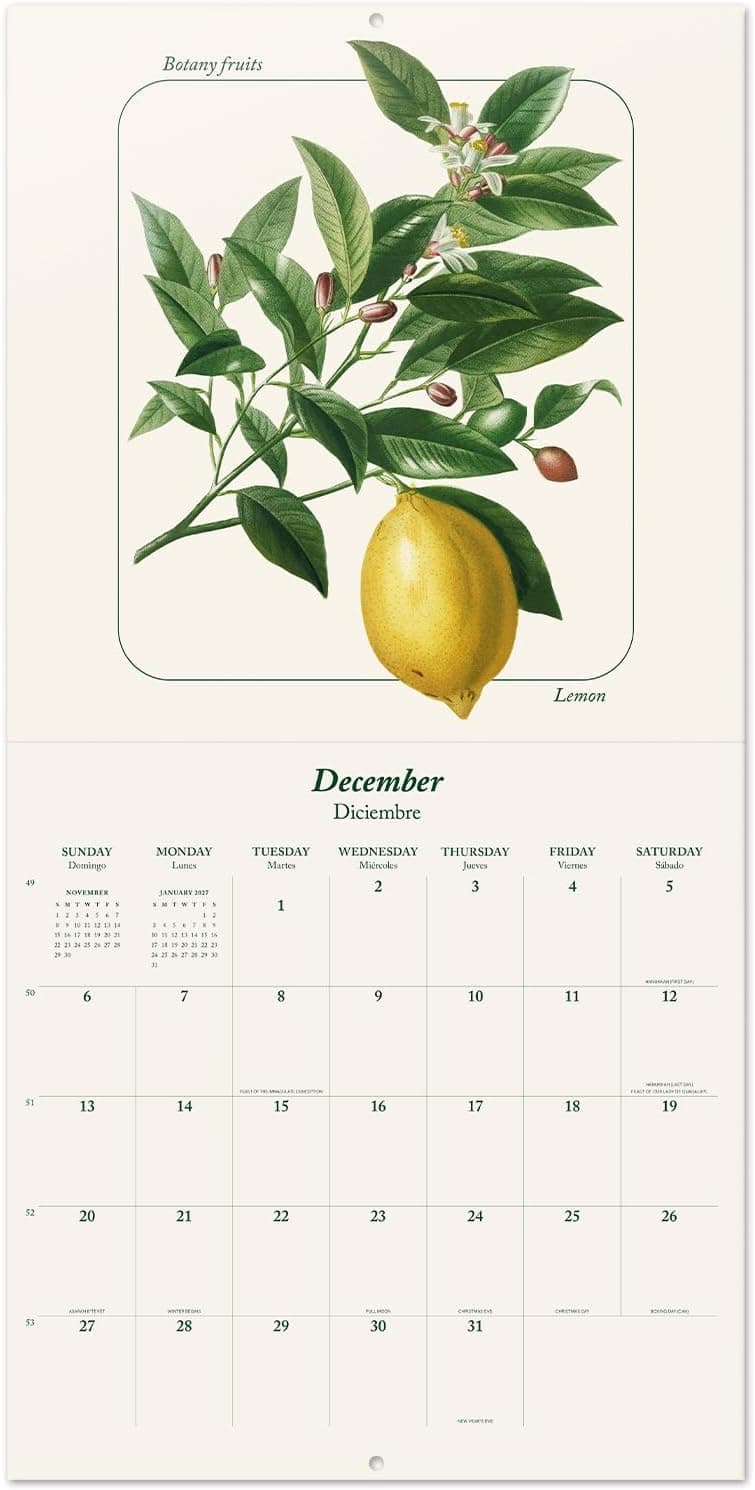 Calendario Botánico de Pared 2026 12" x 12" Sin Plástico FSC® - Comienza la Semana el Domingo | Planificador Familiar Calendario de Frutas 2026 Frutas Botánicas 20206 - Image 4