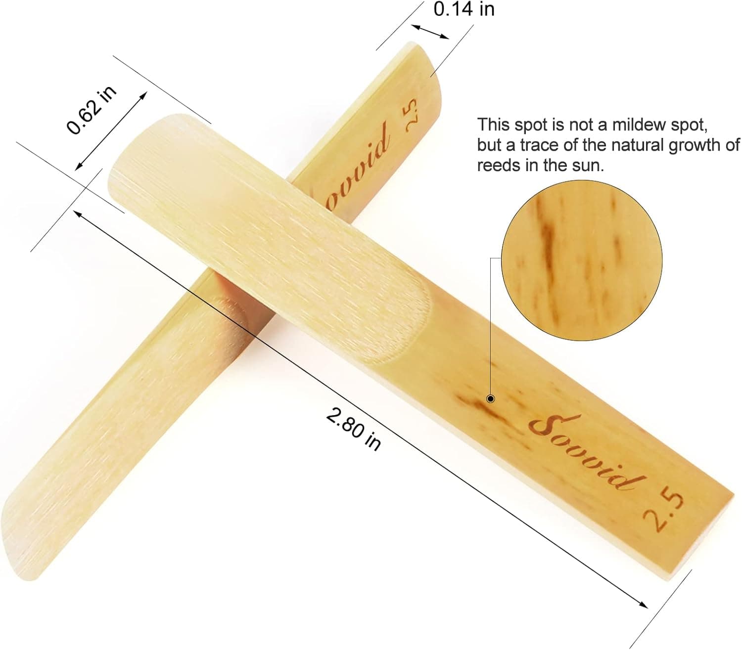 10 Pack Professional Alto Saxophone Reeds with Plastic Box, Strength 2.5 Alto Sax Reeds, Laser Engraved Marking & Thinner Reed Tip for Easy of Play, Traditional Reeds for Saxophone Alto Strength 2.5 Light Brown - Image 3