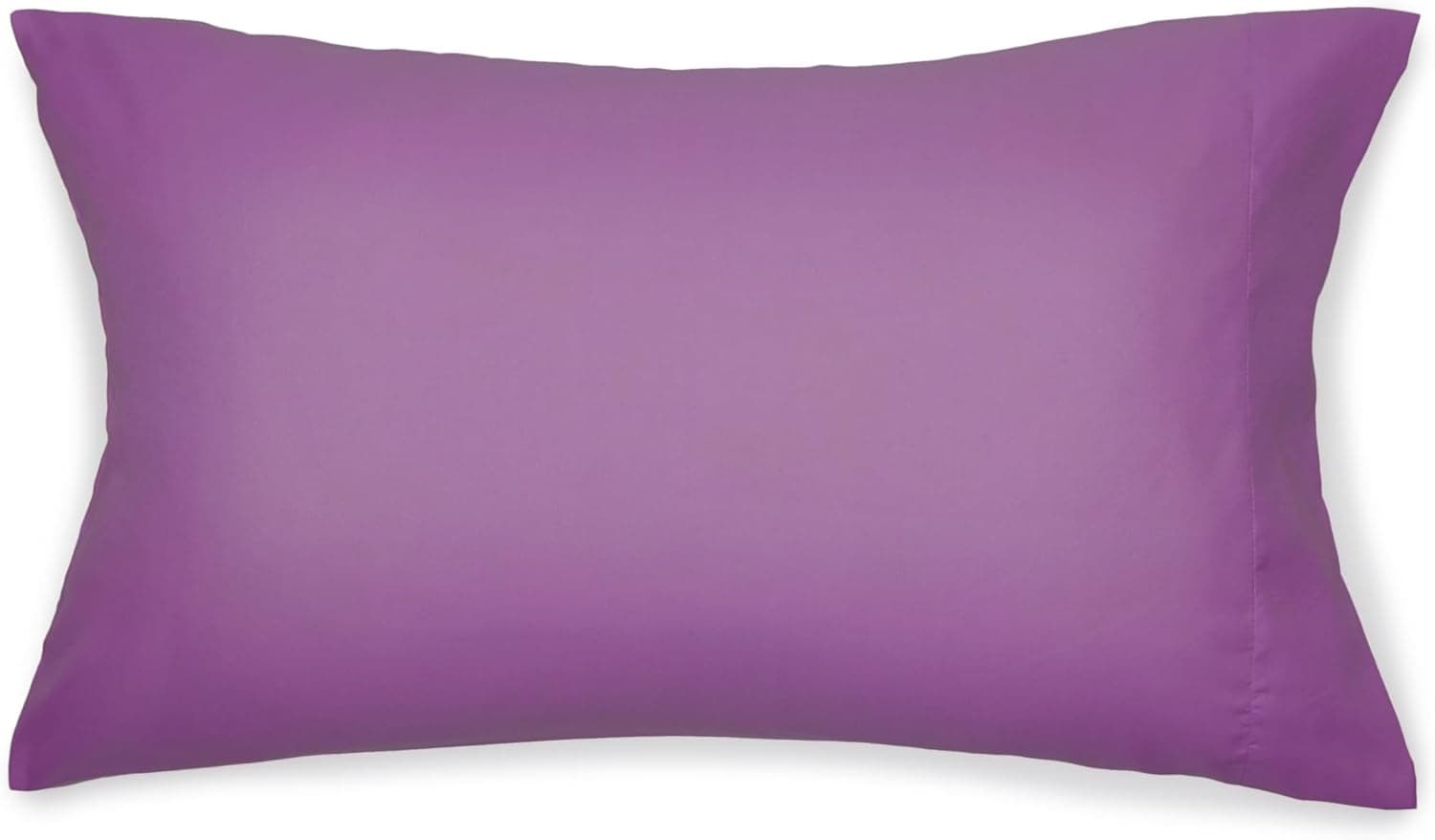 Amazon Basics 5 Piece Soft Microfiber Kid's Bed-in-a-Bag Bedding Set, Twin, Bluish Flowers, Floral Bluish Flower Twin - Image 5