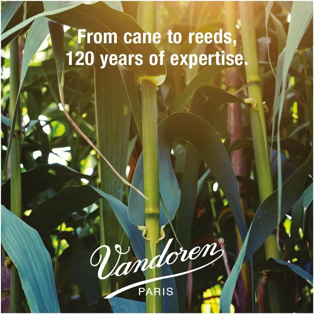 Vandoren CR103 Bb Clarinet Traditional Reeds Strength 3; Box of 10 Strength 3 Clarinet - Image 7