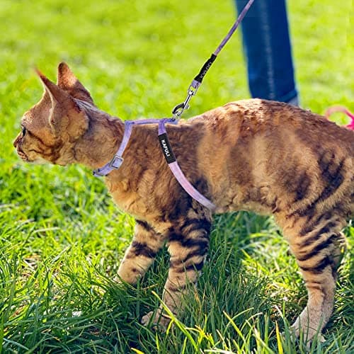 TIESOME Cat Harness and Leash Set, Adjustable Gradient Kitten Harness Escape Proof Harness with Leash for Kitty Outdoor Walking (Gradient Purple) - Image 7